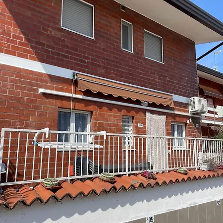 Bnbook Magico Daire *